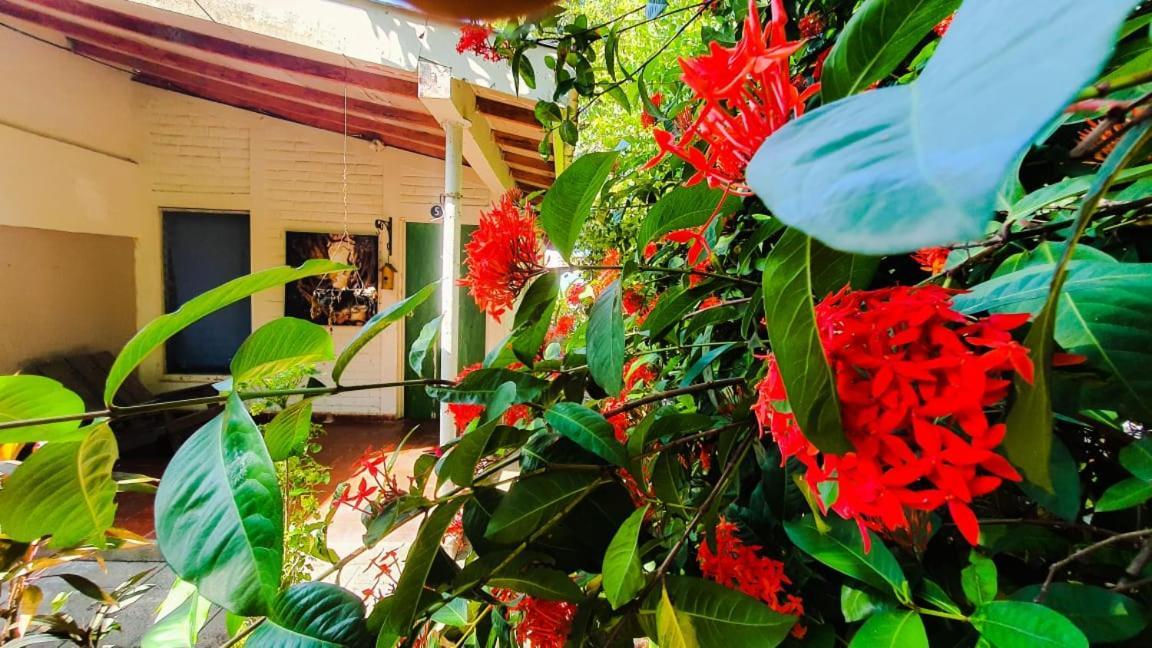 Hostal Club Mochilero 라 리베르타드 외부 사진